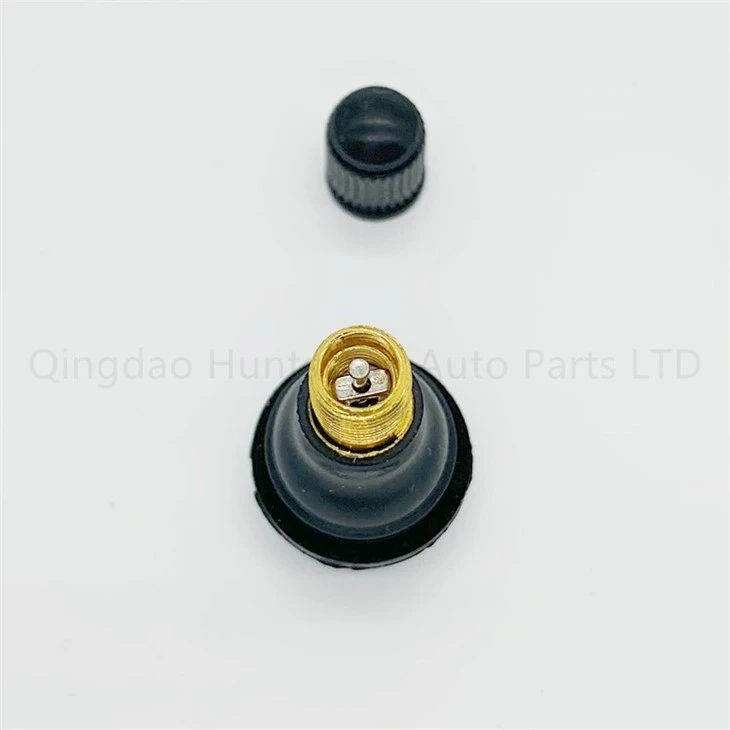TR414 tyre Valve